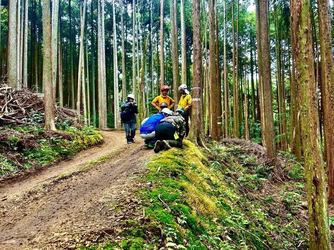 森の中で作業するフジタカの森のメンバー