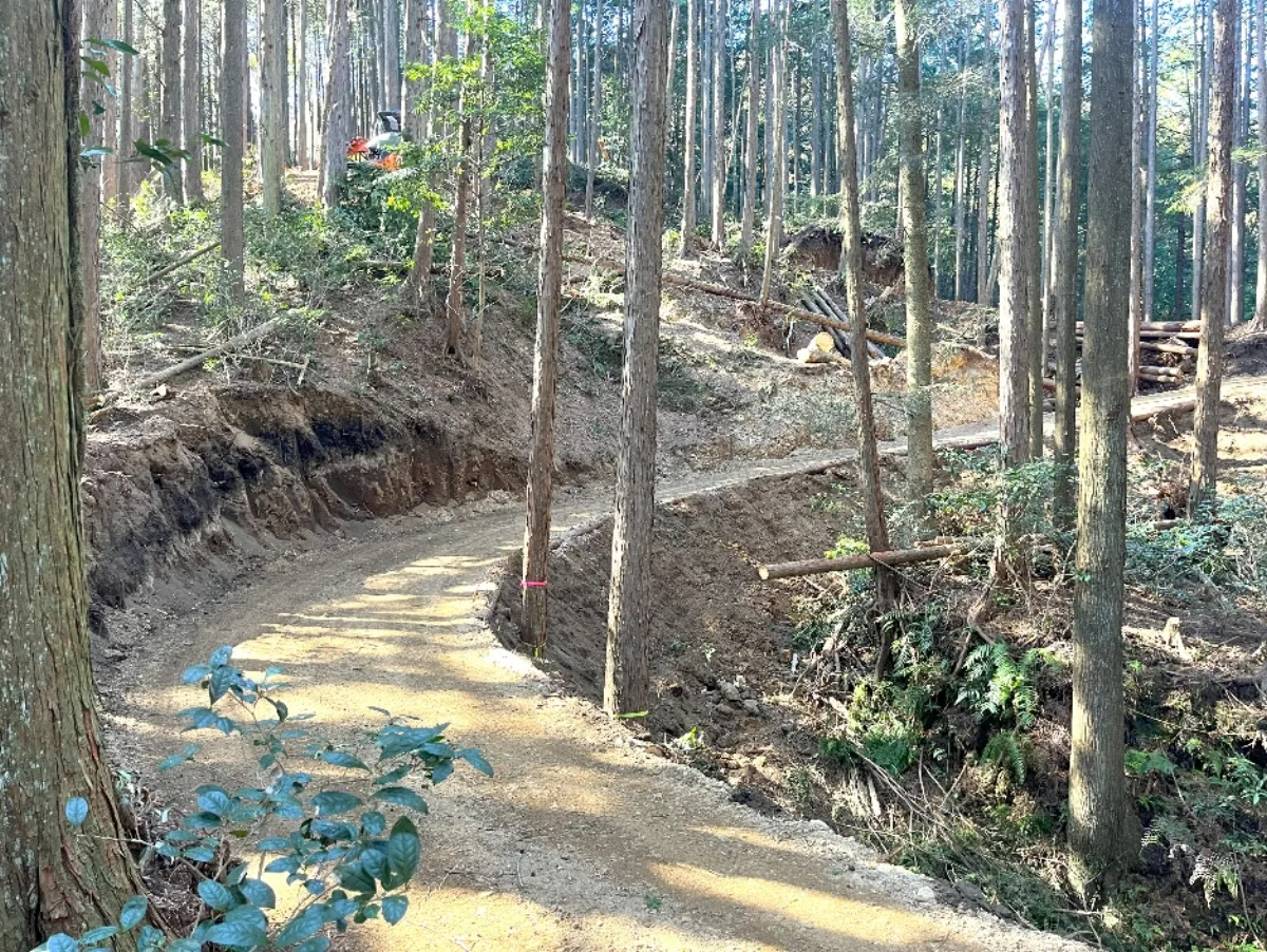 完成した明るい作業道