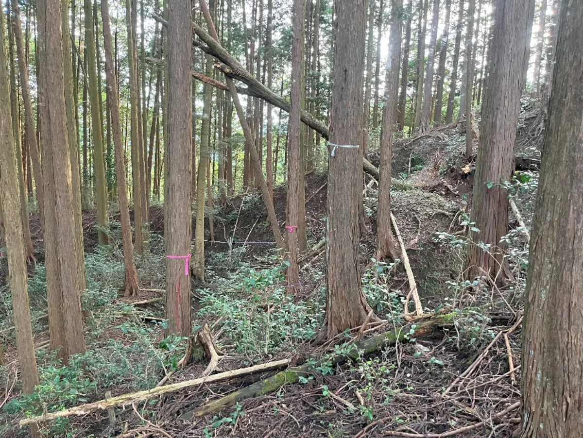 作業道を開設する前の急斜面