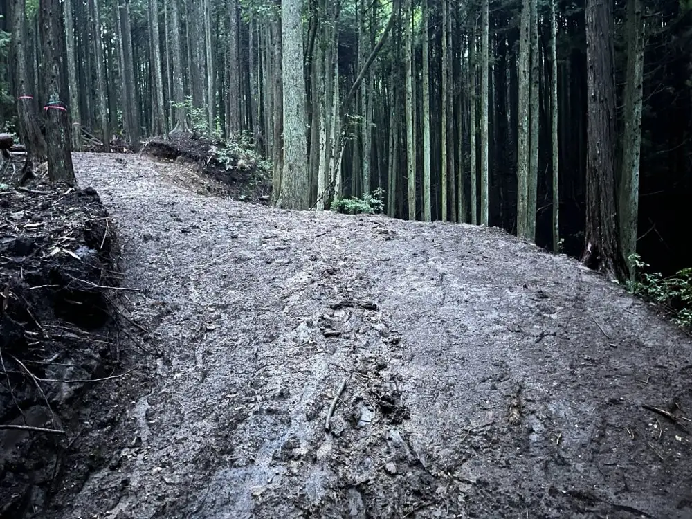 山中に開設した作業道